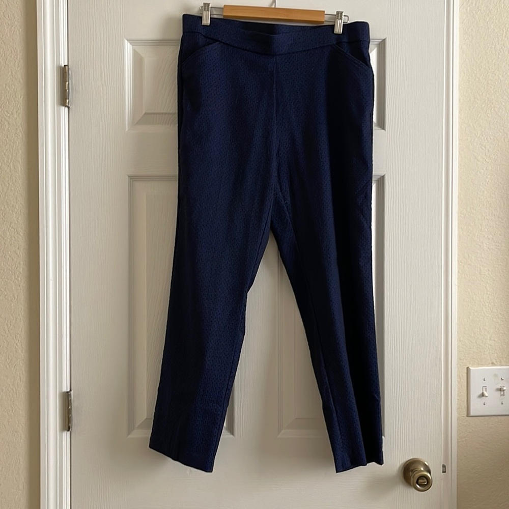 Avenue Polyester/Rayon Pants